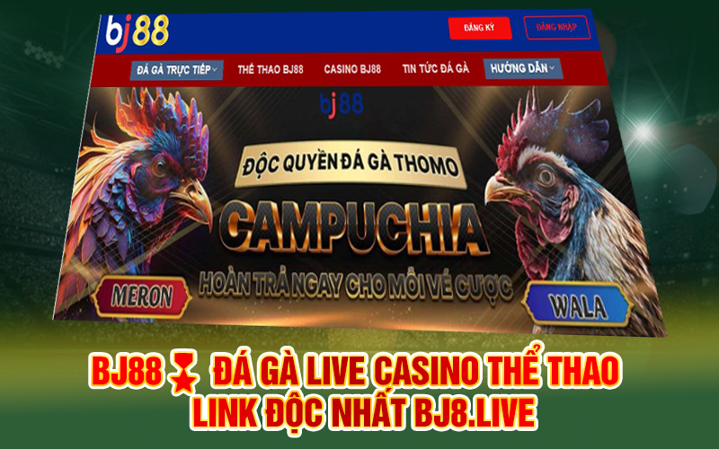 BJ88?️ Đá gà Live Casino Thể thao - Link độc nhất bj8.live