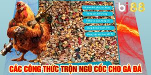 Các công thức trộn ngũ cốc cho gà đá