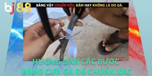 Hướng dẫn các bước băng cựa gà đá chuẩn xác